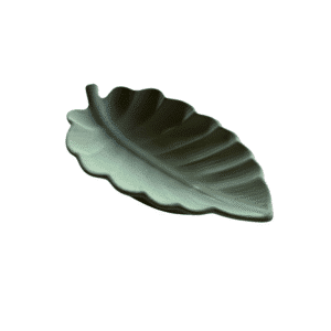 Schaal blad hoog mint